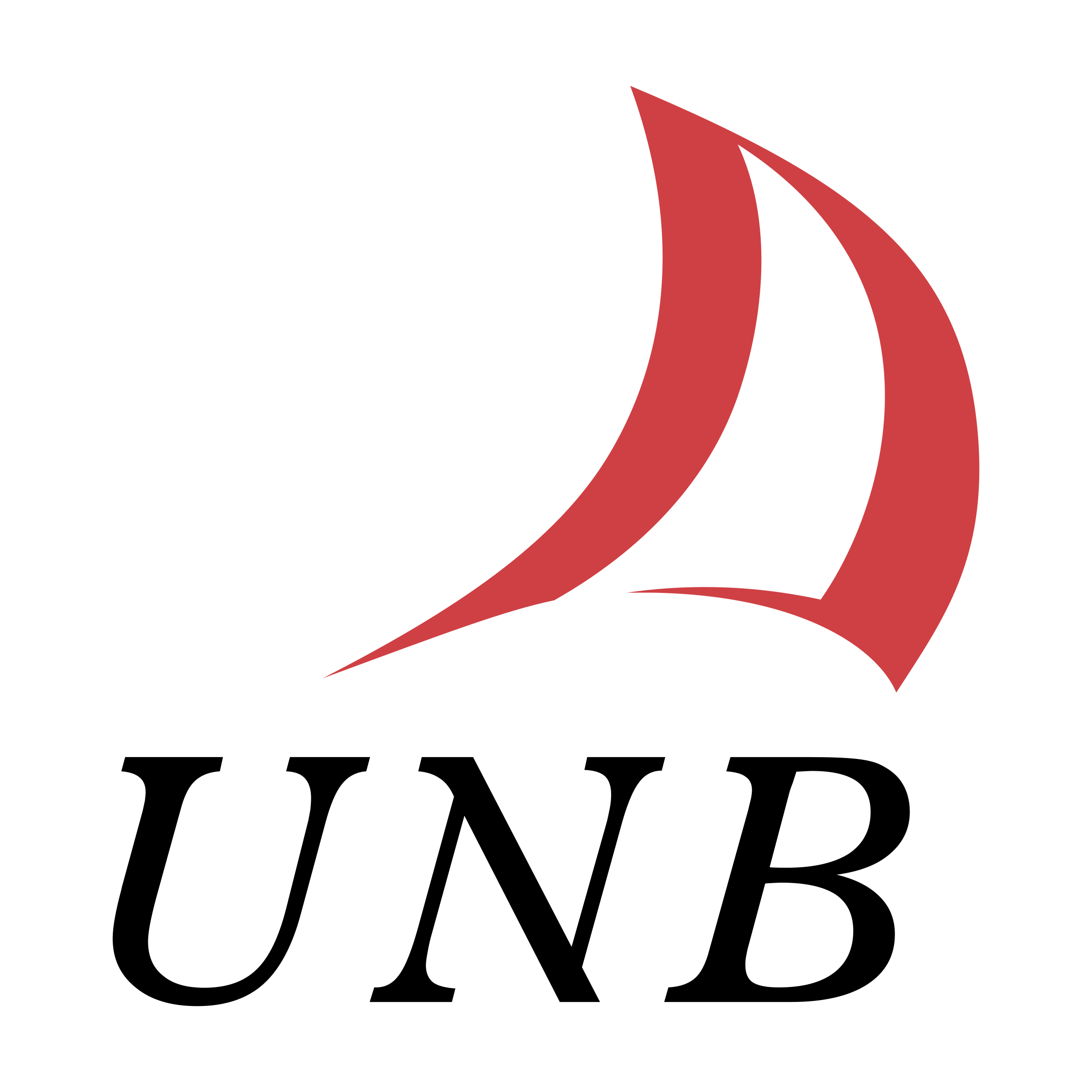 University of New Brunswick